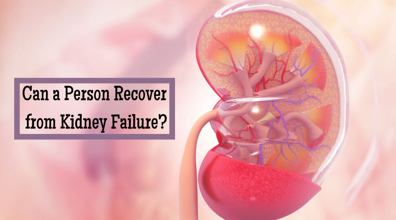 Can a Person Recover from Kidney Failure_